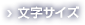 文字サイズ